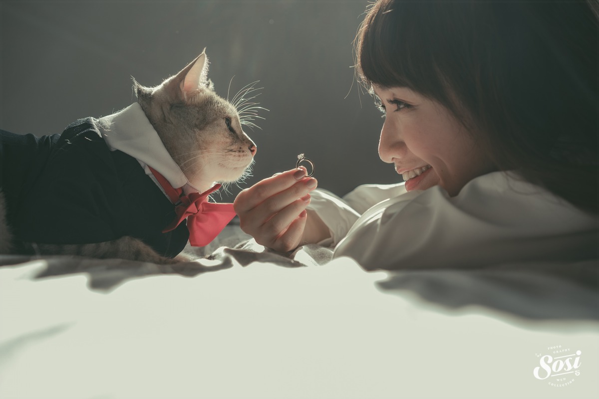 女生喜歡的求婚方式6：寵物參與求婚